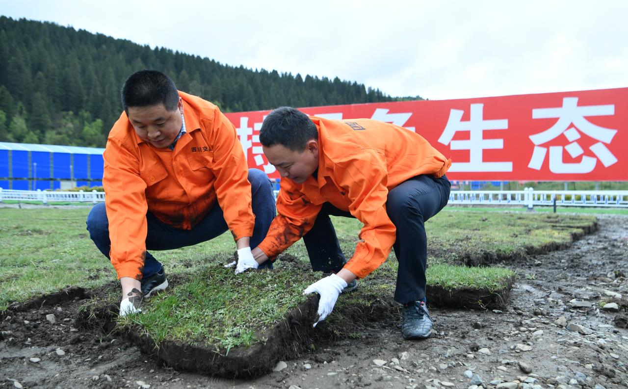 久馬高速建設(shè)者正在堆放草甸.jpg